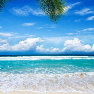 kdpay钱包下载安卓版